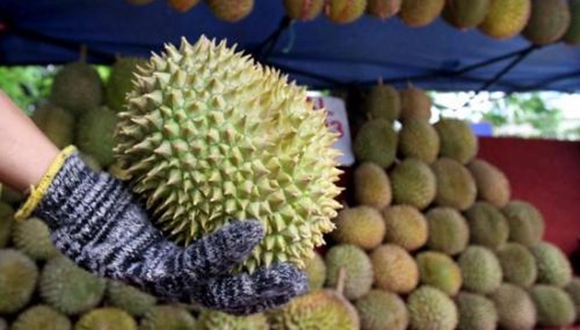 �L(zh��ng)��10�๫���ؾ�����ɏ ̩���@�f�t