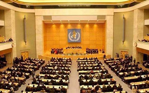 ���l�M��