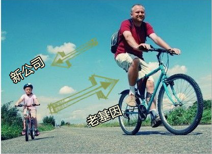 �P�c���W��˾�ġ��Ӱ���򹤳̡�