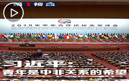 PC端視頻圖片模板.習近平:青年是中非關系的希望jpg.jpg