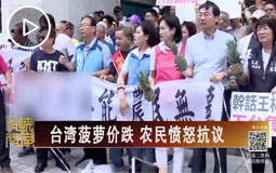 臺灣菠蘿價(jià)跌 農(nóng)民憤怒抗議