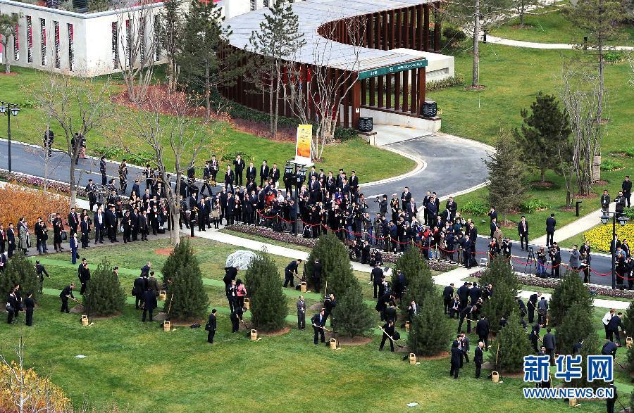 ����ƽ�cAPEC�I���ˡ�������ֲ�����