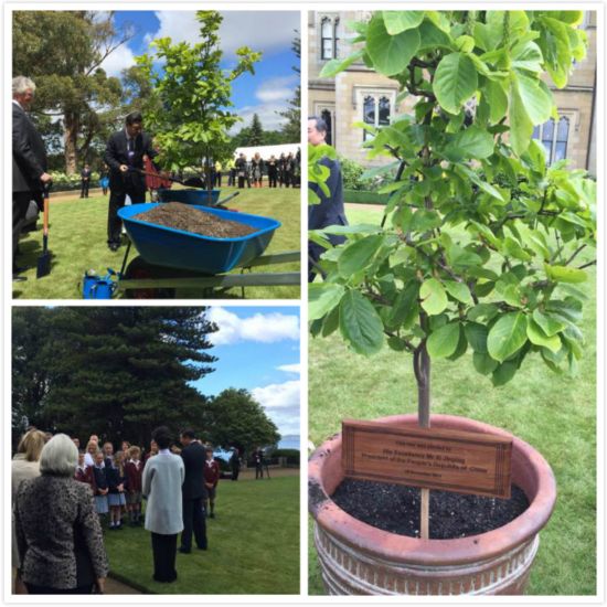 ���Ո(q��ng)����(x��)��������������?