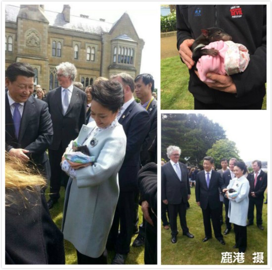 ���Ո(q��ng)����(x��)��������������?