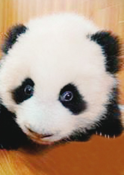 �_�����͡�ʧ�Լ�����ʲô�r���f��������Ԓ��