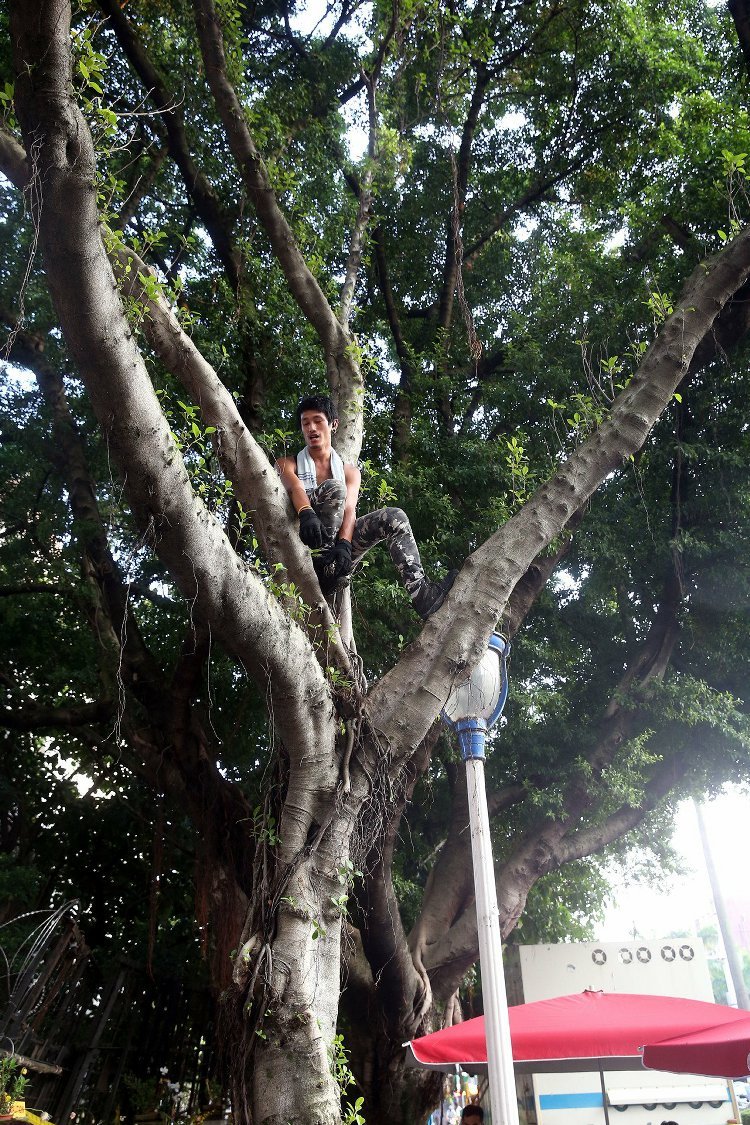 "����"�������y������ʿ���·�^"������" Ҏ(gu��)��W(xu��)��