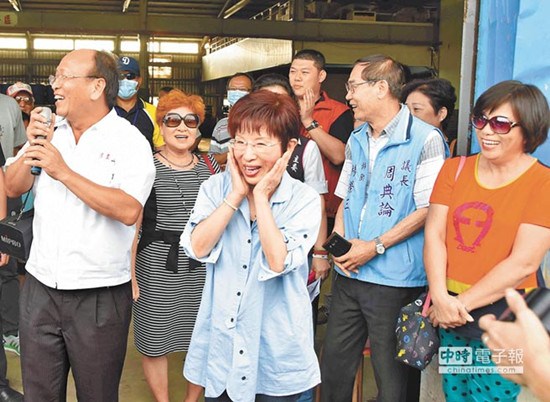 洪秀柱談民意代表席次過半危機:我來當領頭雁