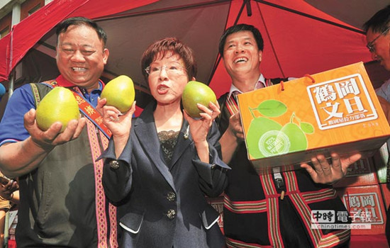 洪秀柱將拍微電影出新書花小錢打文宣戰(圖)