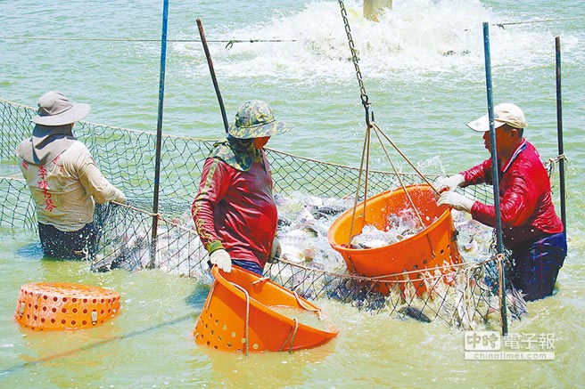 �������桰���С� �_(t��i)�r(n��ng)�O�I(y��)���G�I(y��ng)�s�M���^