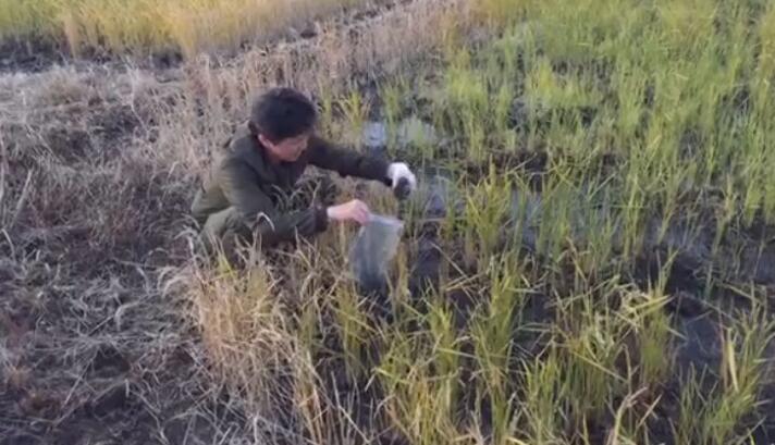 日本福島驗(yàn)出更高濃度銫137 藍(lán)營(yíng)怒:慢性毒殺民眾! 日本福島驗(yàn)出更高濃度銫137 藍(lán)營(yíng)怒:慢性毒殺民眾!