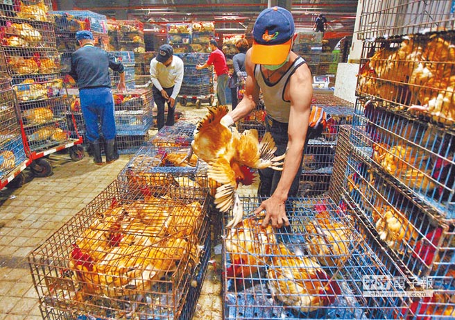 �_���֡��r(n��ng)ί����ί�����t16��������17����r��ȫ�_���ݽ��׽��\7�죬���҃�(n��i)��B(y��ng)��ֱ���͵����׈����׵İ����u��1���g���r�u���ڴ���