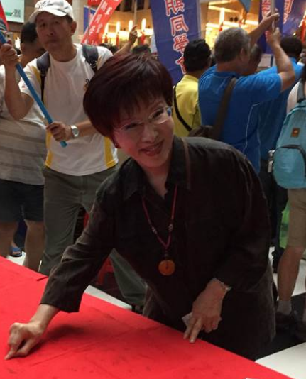 臺灣14縣市軍公教團體集結抗議 洪秀柱應邀出席 臺灣14縣市軍公教團體集結抗議 洪秀柱應邀出席