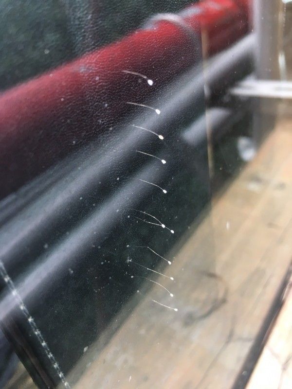 臺異象政治學:日暈叫蔡英文領導人 冰雹稱馬英九妖孽 臺異象政治學:日暈叫蔡英文領導人 冰雹稱馬英九妖孽