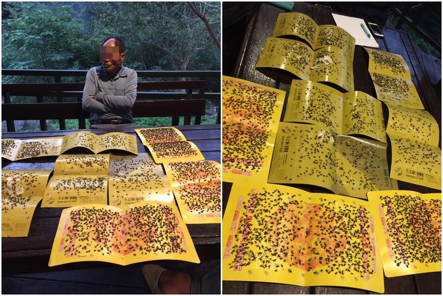 ���ɹ�׃���nω�ȡ� ���r�u�S�����񱊱�����ω