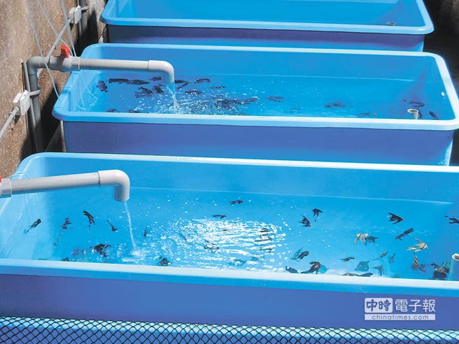 �_܊܊Ş�а����J���`�s��5�|�J���ֻ�Q1���~�����DƬ��Դ���_�����Еr��ӈ󡷣�