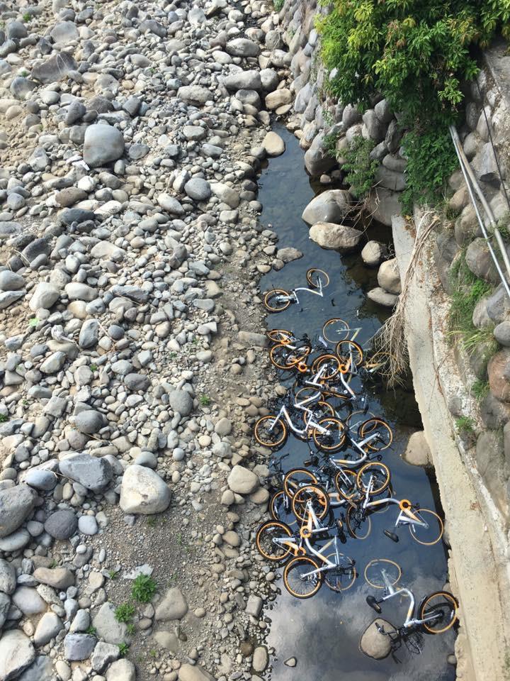 ȫ�_ֻ��һ�ҵĹ����܇��Ű�K��Ҫ�����Ҫ����