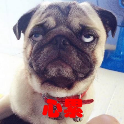 臺(tái)灣文言文鬧劇又迎“反轉(zhuǎn)大戲” 蔡當(dāng)局為“去中”教壞年輕一代 臺(tái)灣文言文鬧劇又迎“反轉(zhuǎn)大戲” 蔡當(dāng)局為“去中”教壞年輕一代