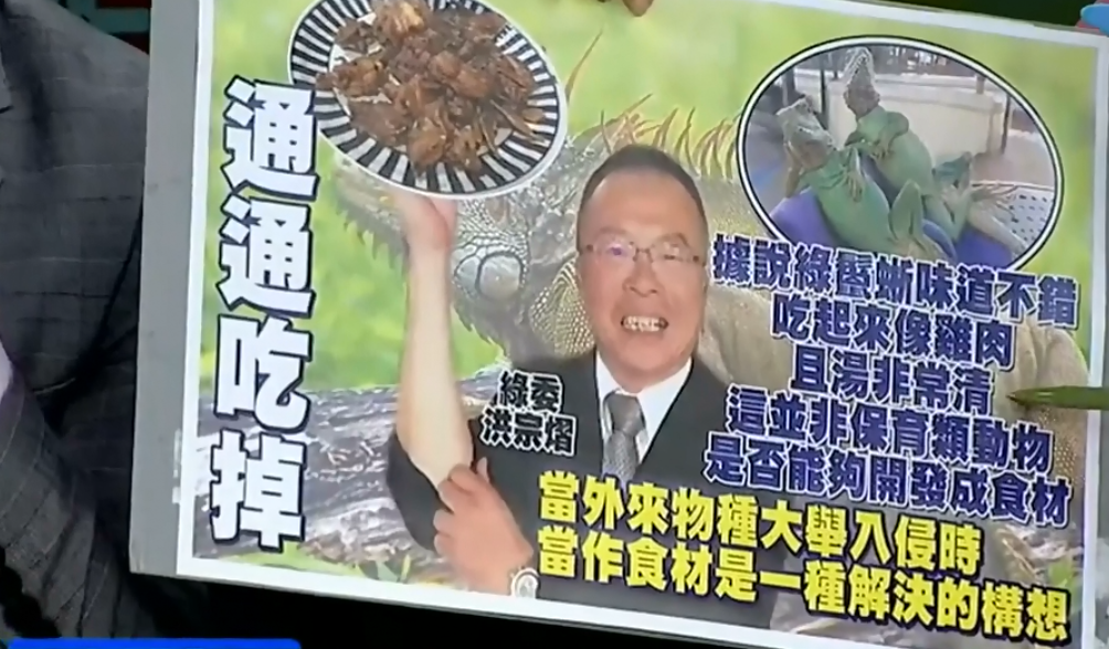 吃香蕉還要吃蜥蜴?除了“吃掉”蔡當局還有別的辦法嗎? 吃香蕉還要吃蜥蜴?除了“吃掉”蔡當局還有別的辦法嗎?