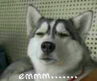 臺灣藝人赴陸“淘金”不新鮮 寶島影視劇“墜入凡間” 臺灣藝人赴陸“淘金”不新鮮 寶島影視劇“墜入凡間”