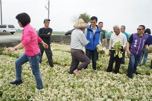 �_(t��i)���r(n��ng)�a(ch��n)�l�������²˃r(ji��)���P ���M(j��n)�h���Gɫ��(zh��)�������r(n��ng)���ܺ����C