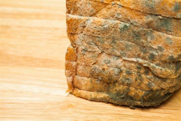 �²۴�����_���t�����˷����_�� �Ї@�����_�����t���i�����硱