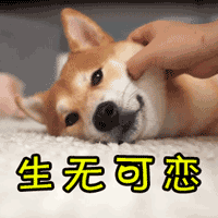 賴清德引“九陽神功”過招管中閔 民進黨誓將“卡管”進行到底 賴清德引“九陽神功”過招管中閔 民進黨誓將“卡管”進行到底