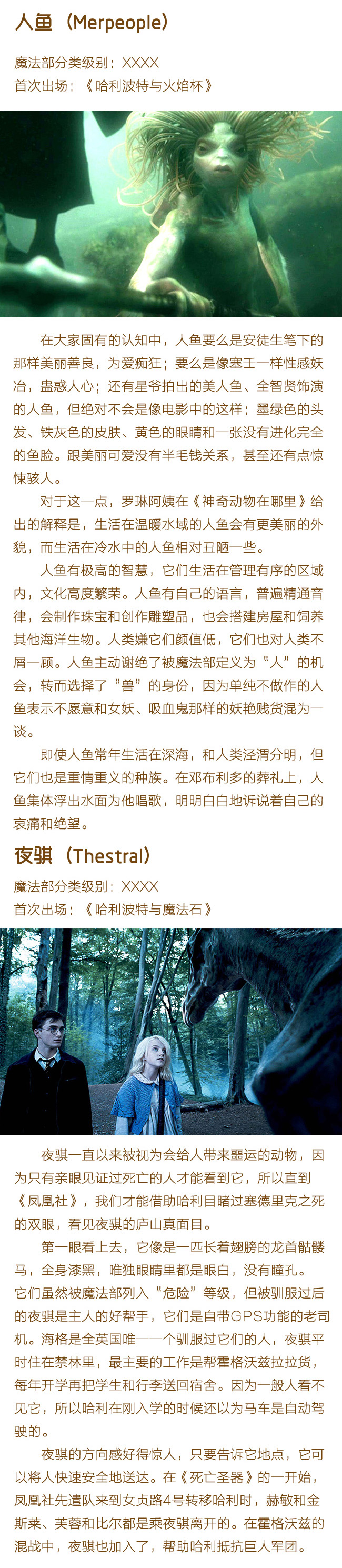 ���������е������������Щ