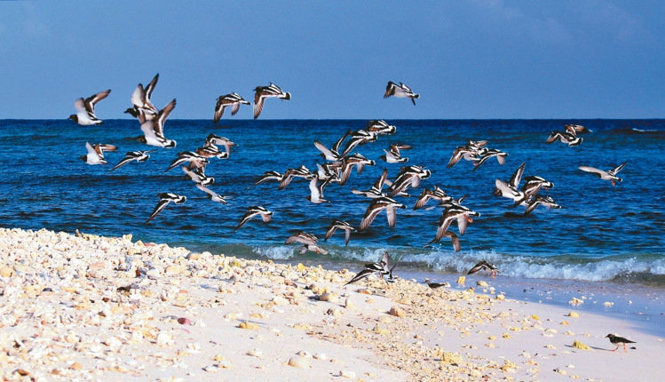 �_(t��i)����Ѳ�(du��)�T�Ĕz̫ƽ�u��(hu��)���߼t �W(w��ng)�ѸЇ@�����(m��ng)�ƻ�