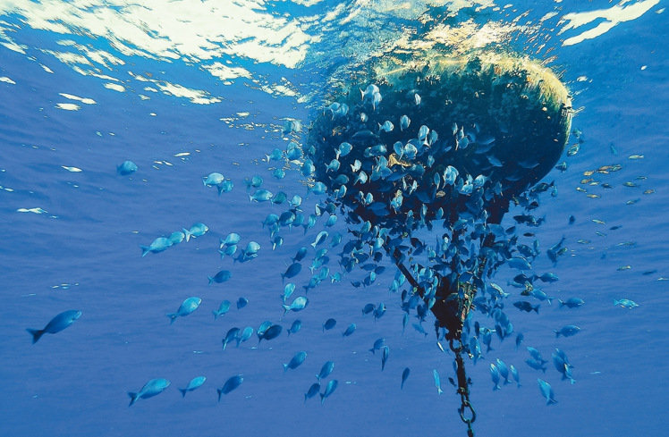 �_(t��i)����Ѳ�(du��)�T�Ĕz̫ƽ�u��(hu��)���߼t �W(w��ng)�ѸЇ@�����(m��ng)�ƻ�