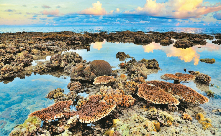 �_(t��i)����Ѳ�(du��)�T�Ĕz̫ƽ�u��(hu��)���߼t �W(w��ng)�ѸЇ@�����(m��ng)�ƻ�