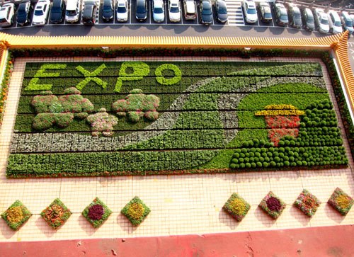 �_(t��i)���Aɽ�����2�Ǒ����O(sh��)���л��@��2800��ֲ�Ժ���(y��ng)�������}��׌ס�Ͷ���1��(g��)���e����Ŀ��g