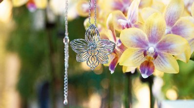 �_���ɹ���W�Y������Ƽ��c�Ą��ׄ��m����