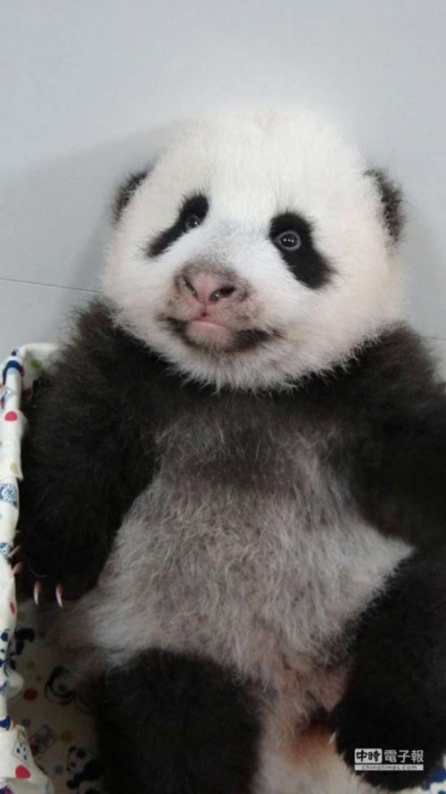 ٛ�_����؈����ף����ƽ�����������b�ɐۣ��D��