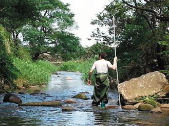 ��������;W�Ѽs�������гɃɰ롱���D��