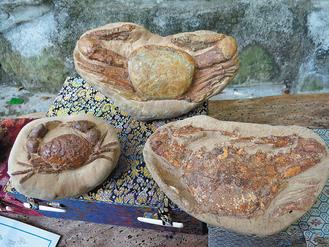 臺(tái)灣一男子穿梭溪谷30年搶救四萬件化石(圖)