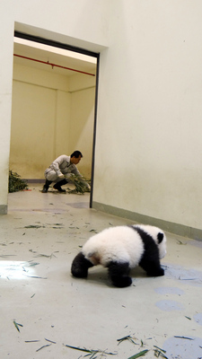 ����؈�������A�С��W(xu��)���ϰ֡��F�F��Ҳ�u��