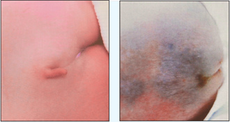 �_(t��i)��һ�Ћ��L(zh��ng)��β�͡��������g(sh��)�ְc�����D��