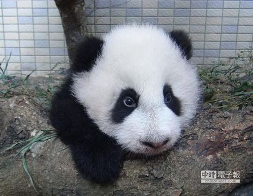 ����؈���A�С���Ä�������ȥ����Ȥ���D��