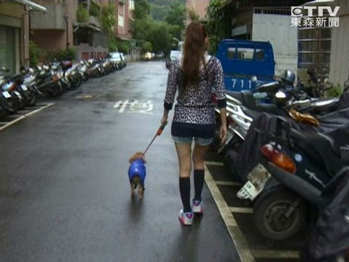 Ů�����Rβ����ѝ�޹��ɐ�(��i)�����W(w��ng)�j(lu��)���t���D��