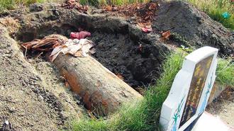 ���ֵܞ鸸�����_�׺�l�F�����ֲ�Ҋ�ˡ����D��