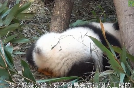 ٛ(z��ng)�_(t��i)����؈�����ЌW(xu��)��(hu��)�����ű���(x��)�T�񋌋����D��