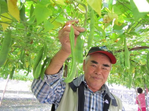 7Ѯ���r(n��ng)�N���ʵ۶������^20��֪�㳣��������(j��ng)�(y��n)