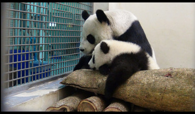 ٛ(z��ng)�_��؈�A���򋌋��u���w�䱧���Ȳ��ţ��D��