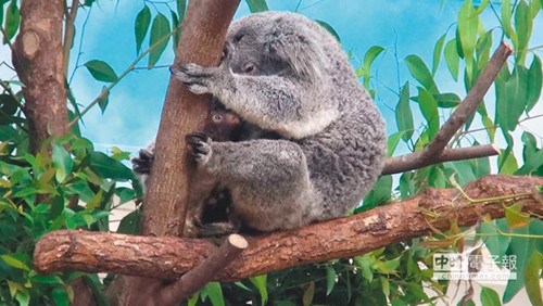 �_������@����������3ֻ����܌�����ƴ�A��