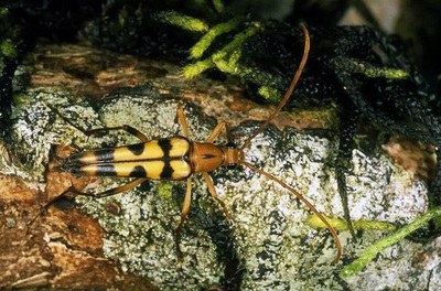 �_���l(f��)�F(xi��n)��ţ��Ʒ�N���������Ƭ�������ţ�����D��