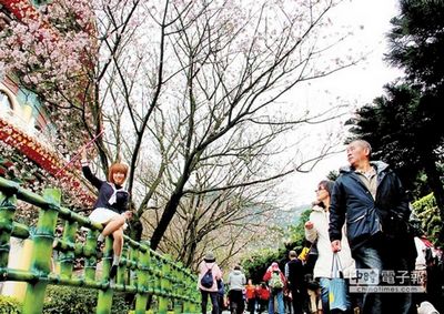 �f��ӿ�±���Ԫ�m�p�ѻ��οͰ�������������^