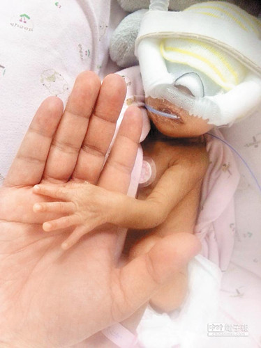 �_(t��i)1350�˰��Ƌ냺�Č�(d��o)�����g(sh��)�ɹ���(chu��ng)���޼o(j��)䛣��D��