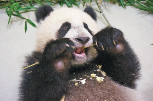 �_������؈�������A�С�9�´��ھ����й������D��