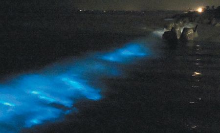 ���T�Ϻ������F(xi��n)���{�ۜI�����^�񱊠��ã��D��