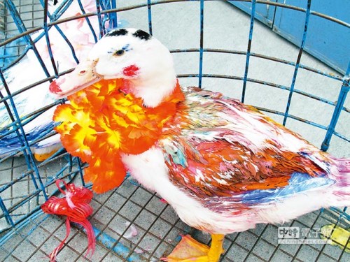 �_�������e�k����x���������ݝ�y�GĨ���D��